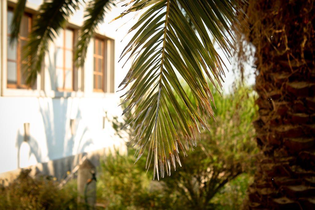 Cabeca Da Cabra Casa De Campo Porto Covo Bagian luar foto